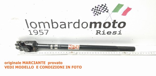 Piantone albero canna - piantone, scatola