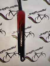 Colnago C64 Art Decor Disc Carbon Fork Forcella @ Campagnolo,C Record,Mapei...