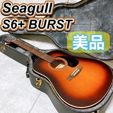 Chitarra acustica Seagull