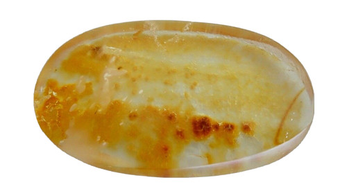 Cabochon rotondo ambra - rotondo, pietra