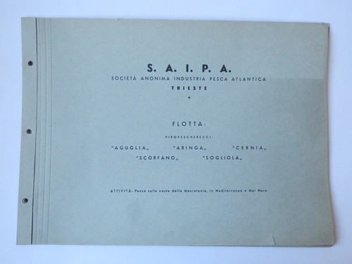 Saipa pesca atlantica - pesca,