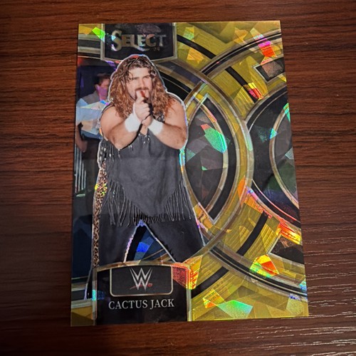 Cactus jack 2024 panini - cactus,