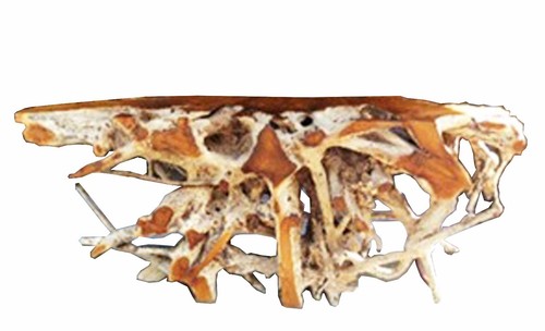 Unique organic design - unique,