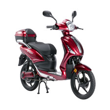 Bicicletta Elettrica Scooter