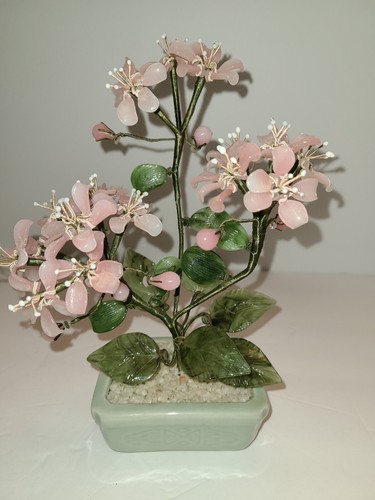 Albero prunus fiorito - albero,