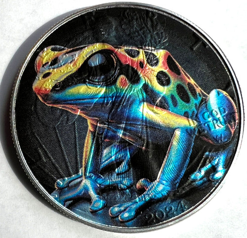 Bellissima rana dart velenosa