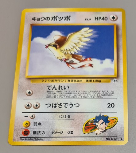 Koga pidgey n - pidgey, #