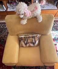 TRATTABILI- 2 Poltrone Chateau D ‘Ax originali robuste vintage,braccioli di 25cm