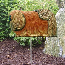 Pechinese Outdoor Giardino