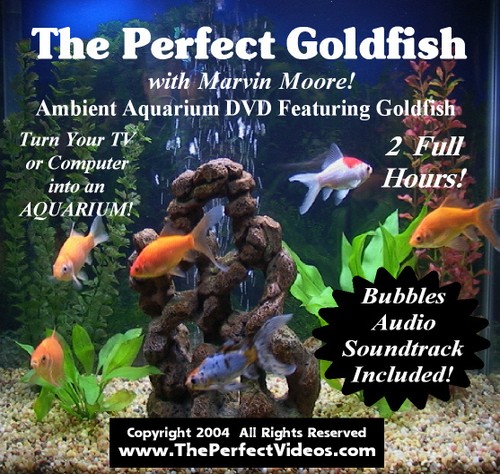Virtual aquarium dvd fish tank - dvd,