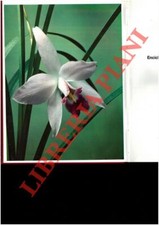 Natura viva. Enciclopedia