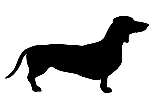 Adesivo cane bassotto - cane,