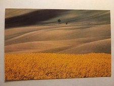Modena - Franco Fontana