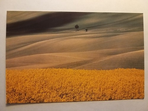 Modena franco fontana - modena,