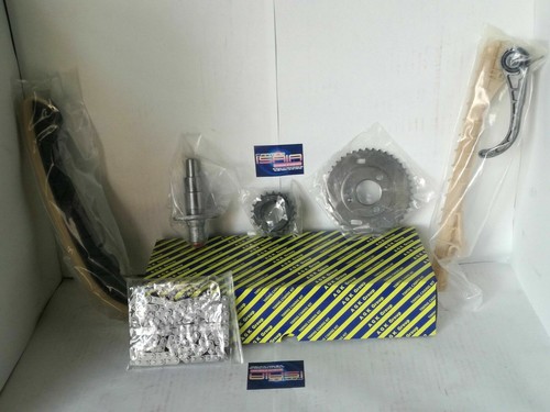 Kit catena distribuzione 6 - catena,