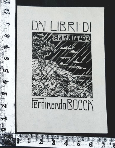 Wunderkammer exlibris 254 - wunderkammer,