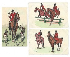CAVALLI CACCIA ALLA VOLPE 3 CARTOLINE STESSA SERIE VIAGGIATE E NON FP #861