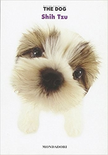 Shih tzu bonetti mathilde - tzu, ,bonetti,