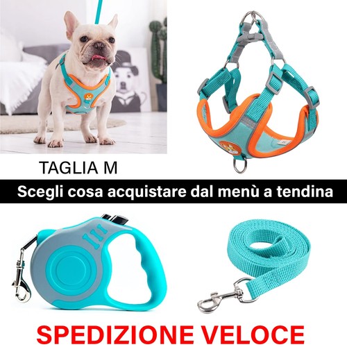 Pettorina imbracatura collare - pettorina,