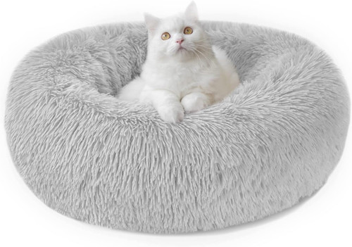 Cane gatto morbido - cane, rotondo