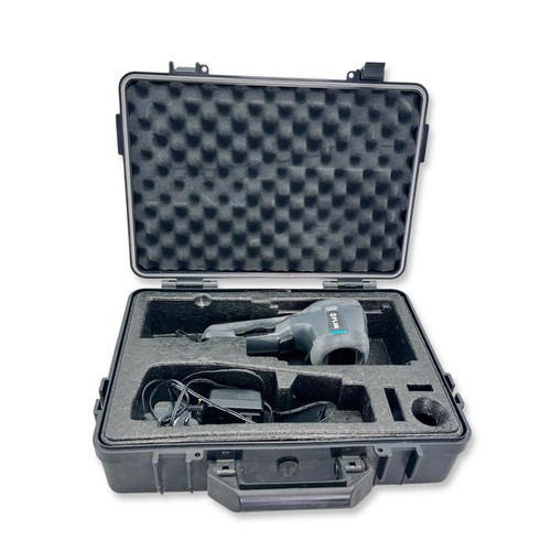 Termometro portatile