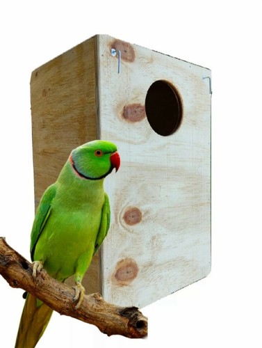 Nido cova per pappagalli - per,