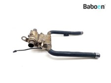 Camera della marmitta /