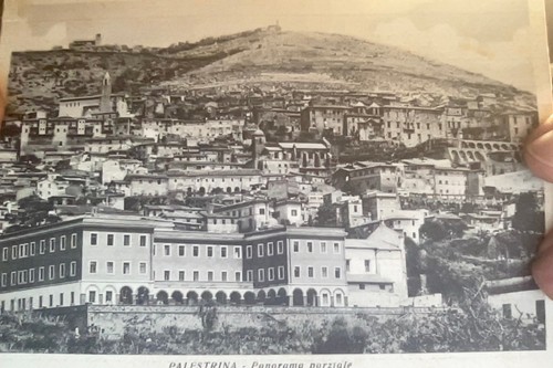 Cartoline palestrina - cartoline, di