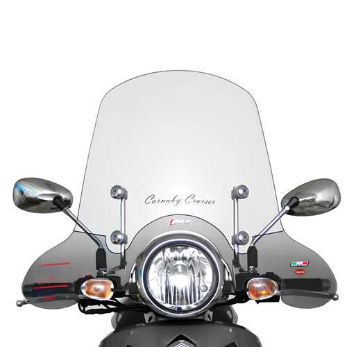 Parabrezza con attacchi 22993 - con,