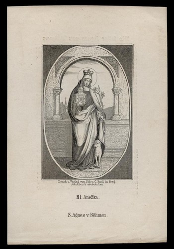 Santino incisione 1800 - incisione,