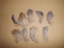 15 piume d'anatra, piume di lanugine 5 - 7 cm, fai da te, floristica