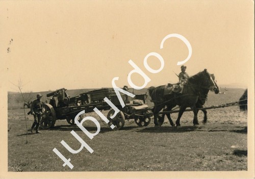 Foto wk2 carrozza cavalli - foto,