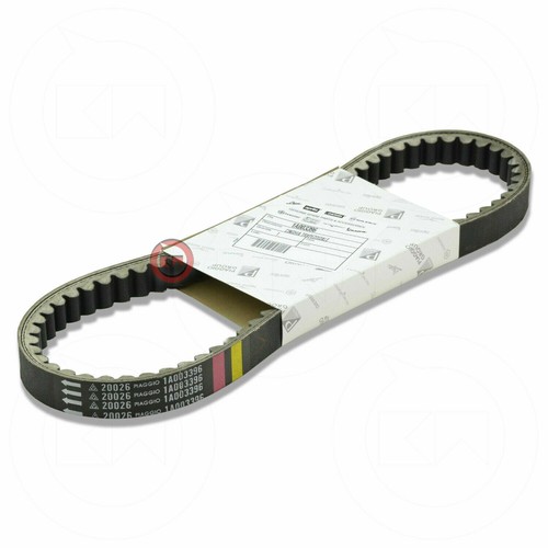 1a003396 cinghia - 1a003396, di