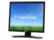 Monitor Display PC Dell P170s