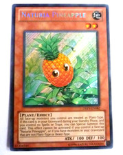 Carte Yu Gi Oh - NATURIA