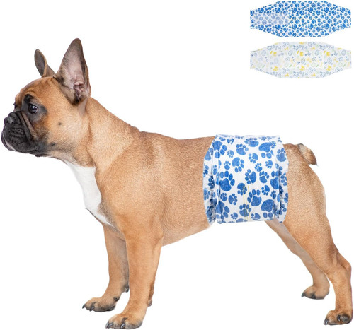 Pannolini per cani maschi - cani, maschi,