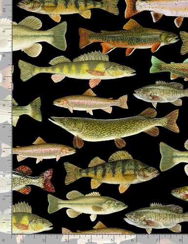 Tessuto animali regole - animali, |
