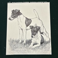 Smooth Fox Terrier penna e inchiostro originale di Martha Van Loan 14x17