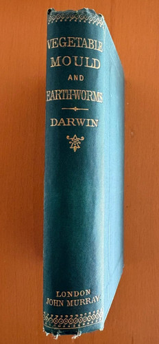 Darwin the formation - the,