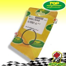 Segmento fascia elastica - segmento,