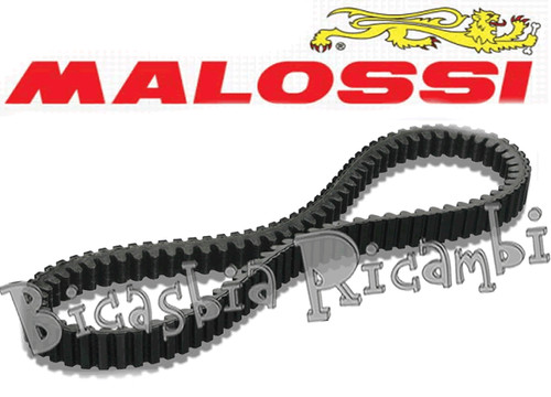6217 cinghia variatore - -,