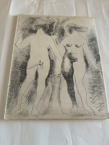 Libro arte marino - d'arte,