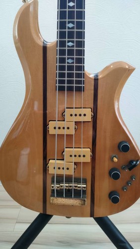 Basso elettrico rich - basso,