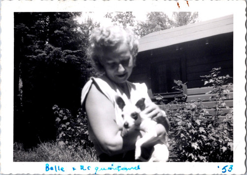 Ph2042 bella donna chihuahua - ph2042,