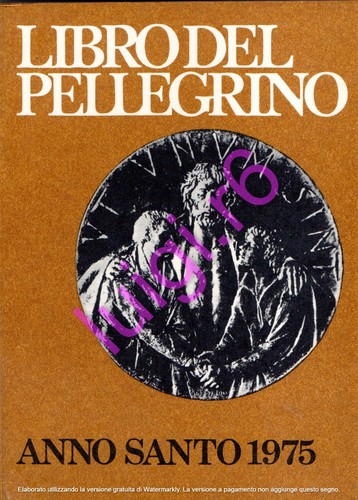 Libro del pellegrino - libro,