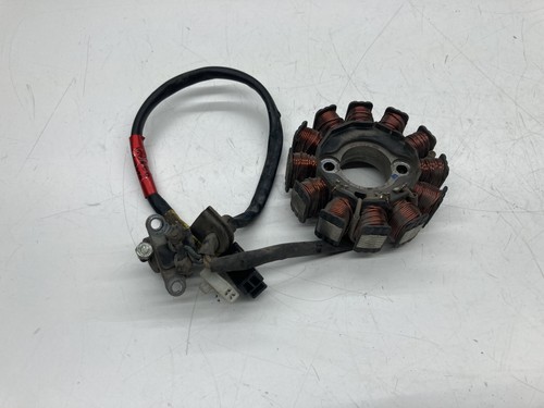 Statore alternatore magnete - alternatore,