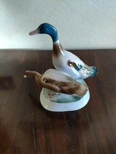 Coppia di anatre in porcellana Ungherese.