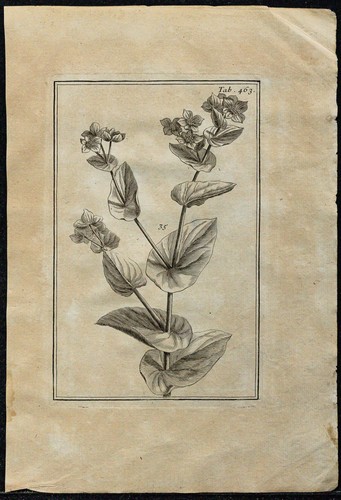 1719 fogli corda la - da, asta