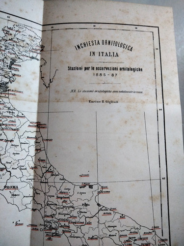 Inchiesta ornitologica - inchiesta,