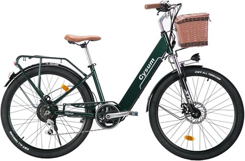 Bicicletta elettrica donna